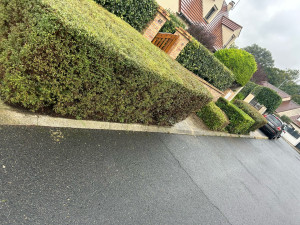 Photo de galerie - Taille 