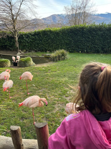 Photo de galerie - Sortie au zoo 