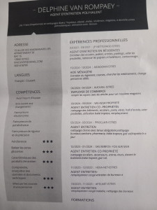 Photo de galerie - Mon cv avec mes expériences  en nettoyage 