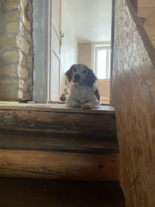 Photo de galerie - À mon domicile ou en visite chez vous 