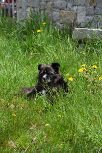 Photo de galerie - Ma toutoune adorée 