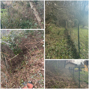 Photo de galerie - Débroussaillage de ronce