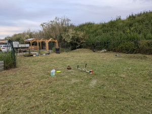Photo de galerie - Tonte de pelouse - Débroussaillage
