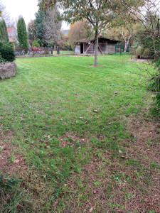 Photo de galerie - Tonte pelouse 