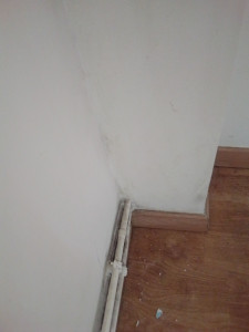 Photo de galerie - Avant nettoyage 