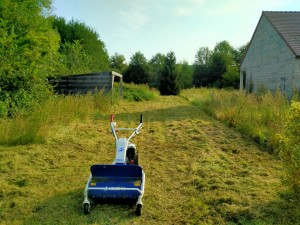 Photo de galerie - Tonte de pelouse - Débroussaillage