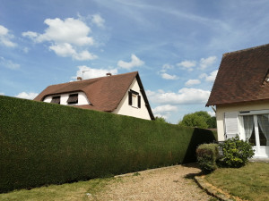 Photo de galerie - Taille de haies et d'arbustes