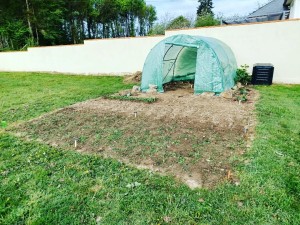 Photo de galerie - Je peux désherber et vous donner des conseils de jardinage. 