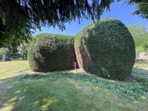 Photo de galerie - Entretien, Desjardins