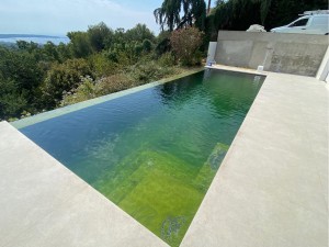Photo de galerie - Rattrapage eau verte 24h + entretien piscine 