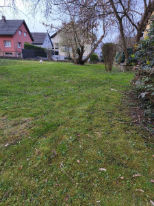 Photo de galerie - Tonte copropriété 