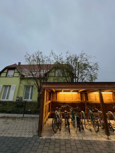 Photo de galerie - Rabaissement d’arbres 