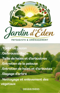 Photo de galerie - Paysagiste - Aménagement du jardin