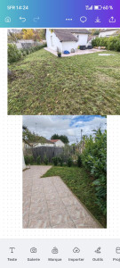 Photo de galerie - Tonte de pelouse et désherbage 