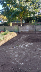 Photo de galerie - Paysagiste - Aménagement du jardin