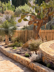 Photo de galerie - Création de Restanque 