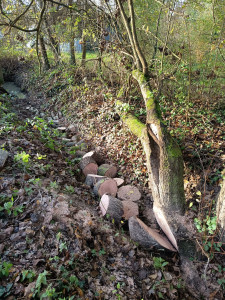 Photo de galerie - Dégagement d'un fossé 