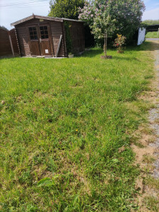 Photo de galerie - Tonte de pelouse - Débroussaillage