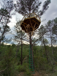 Photo de galerie - Charpente