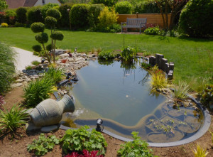 Photo de galerie - Paysagiste - Aménagement du jardin