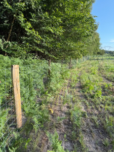 Photo de galerie - Pose de clôture à gibier sur 2km 