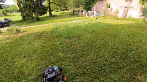 Photo de galerie - Tonte de pelouse