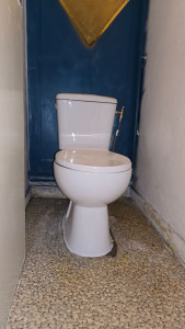 Photo de galerie - Remplacement des toilettes 