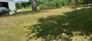 Photo de galerie - Tonte de pelouse de 70m carré chez un particulier 
