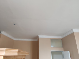 Photo de galerie - Plâtrerie - Murs - Plafonds