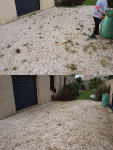 Photo de galerie - Désherbage à la main avec mon petit apprenti d'un jour (mon fils 8 ans)  ? ce jour-là il a appris que l'argent n'est pas facile a gagner. je suis fier de lui? 