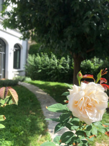 Photo de galerie - Création d’un espace de tranquillité en ville 