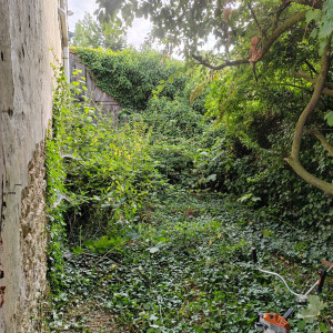 Photo de galerie - Photo prise avant le nettoyage 