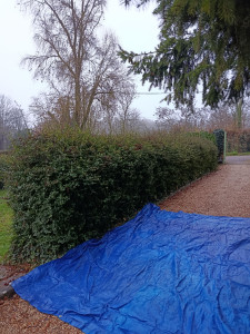 Photo de galerie - Avant