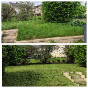 Photo de galerie - Tonte de pelouse - Débroussaillage