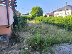 Photo de galerie - Tonte de pelouse - Débroussaillage