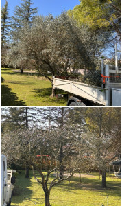 Photo de galerie - Jardinier