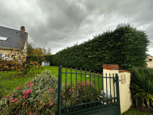 Photo de galerie - Avant 