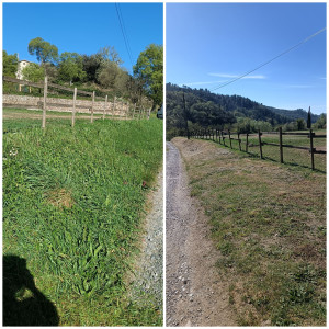 Photo de galerie - Tonte de pelouse - Débroussaillage