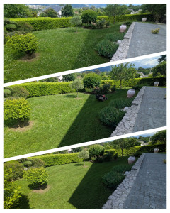 Photo de galerie - Tonte de pelouse - Débroussaillage