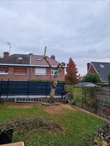 Photo de galerie - Prestations d'abattage à Saint saulve. 
l'arbre à était élaguer ensuite nous avons procédé à l'abattage de l'arbre .
avec évacuation du déchets vert et nettoyage de chantier. 