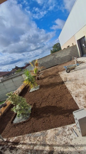 Photo de galerie - Aménagement de jardin plus semé de gazon 