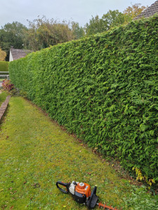 Photo de galerie - Avant 