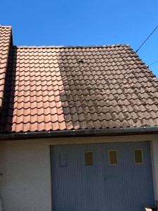 Photo de galerie - Demoussage
