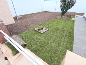 Photo de galerie - Gazon plaquage 