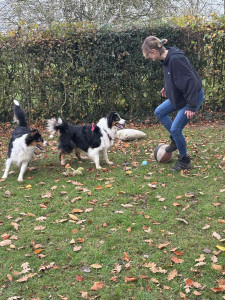 Photo de galerie - Instant jeux