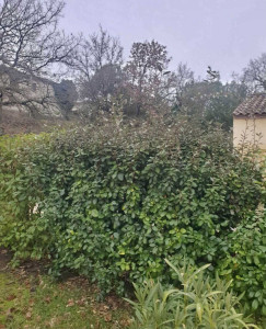 Photo de galerie - Jardinier