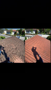 Photo de galerie - Nettoyage de toiture avant et après résultats immédiat