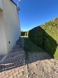 Photo de galerie - Taille de haies et d'arbustes