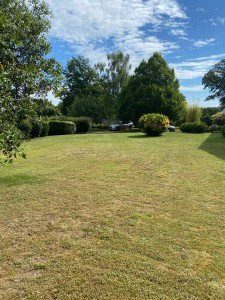 Photo de galerie - Tonte jardin entretien etc 