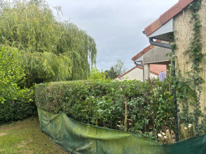 Photo de galerie - Taille-haies
